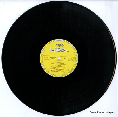MG8022 disc