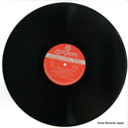 GT9123 disc