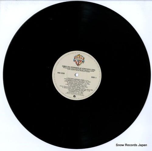 BSK3318 disc