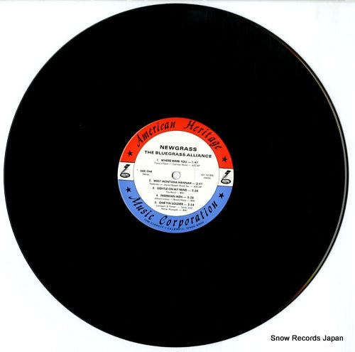 AH10-30S disc