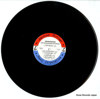 AH10-30S disc