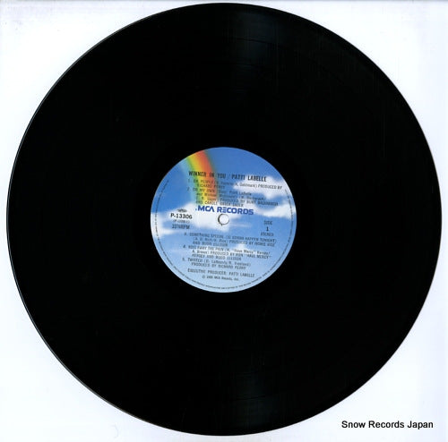 P-13306 disc