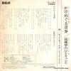 RVS-1038 back cover