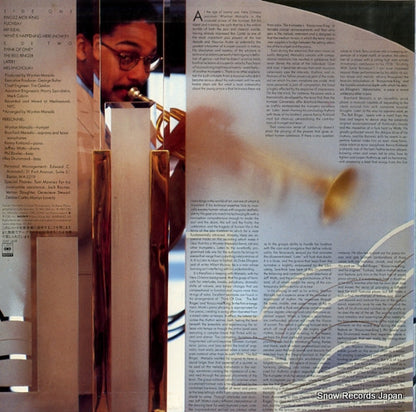 25AP2658 back cover