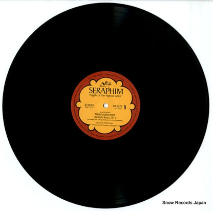 CA.5073 disc