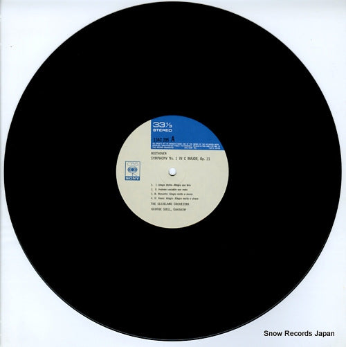 13AC205 disc