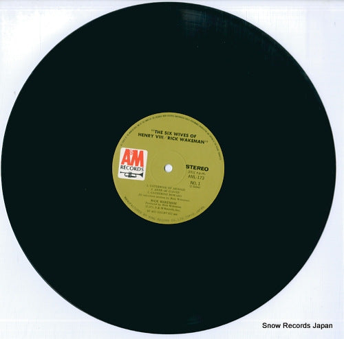 AML-173 disc