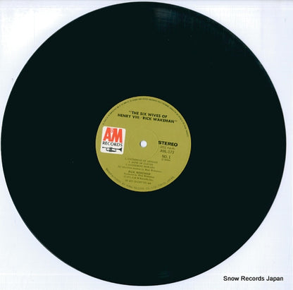 AML-173 disc