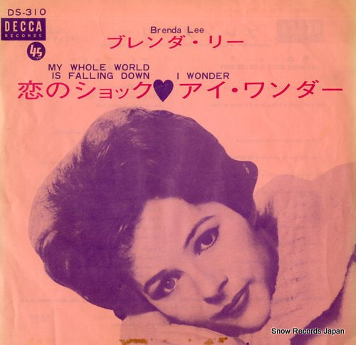 DS-310 front cover