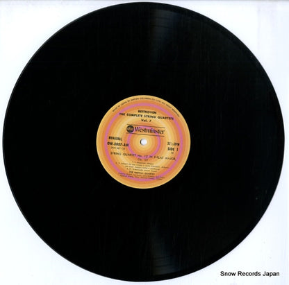 OW-8007-AW disc
